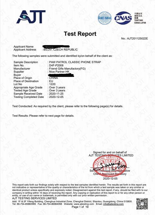 BS Testing Report(001)